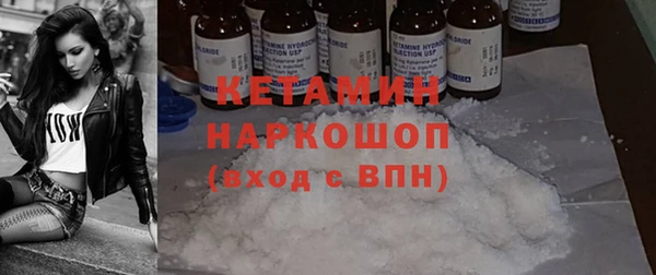 твердый Новозыбков