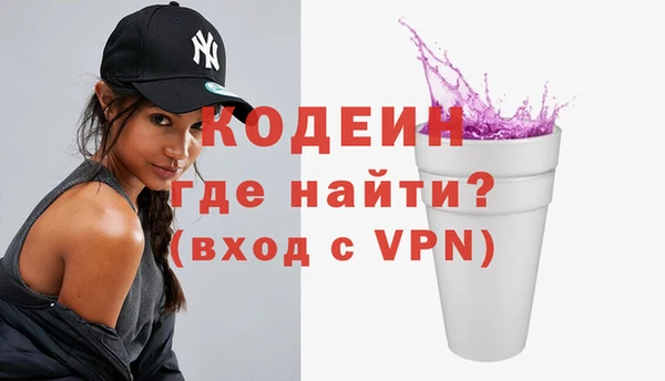 индика Надым