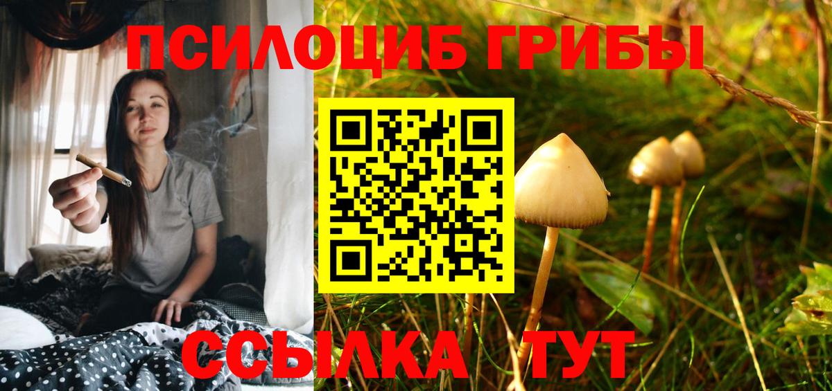 Псилоцибиновые грибы MAGIC MUSHROOMS  Вход с VPN  Отрадное 